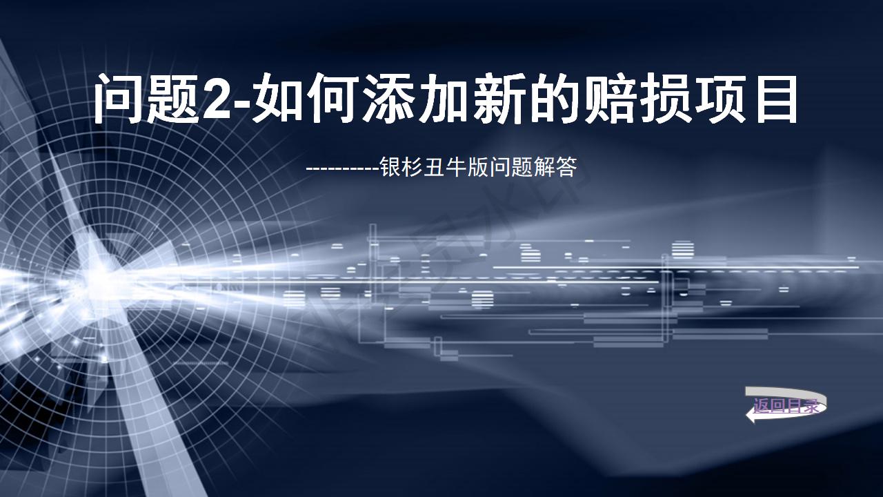 問(wèn)題2--如何添加新的賠損項(xiàng)目